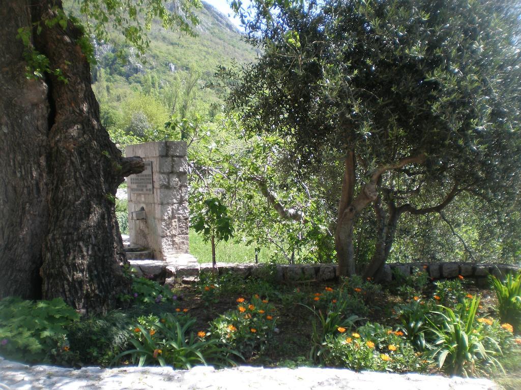 Villa Lidija Будва Номер фото